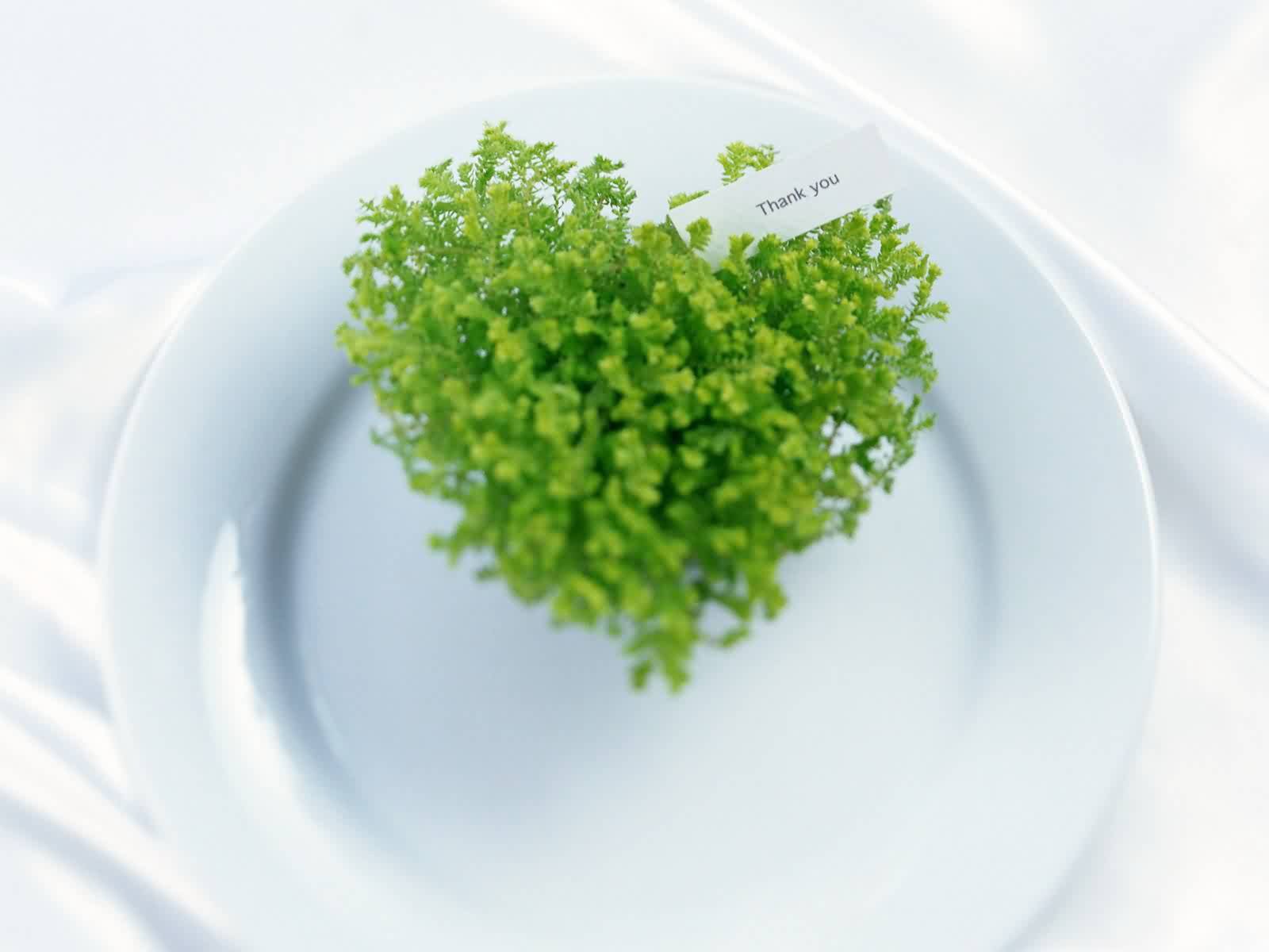 A vibrant green plant shaped like a heart rests on a white plate, accompanied by a small card reading Thank you. This artistic representation evokes love and gratitude.