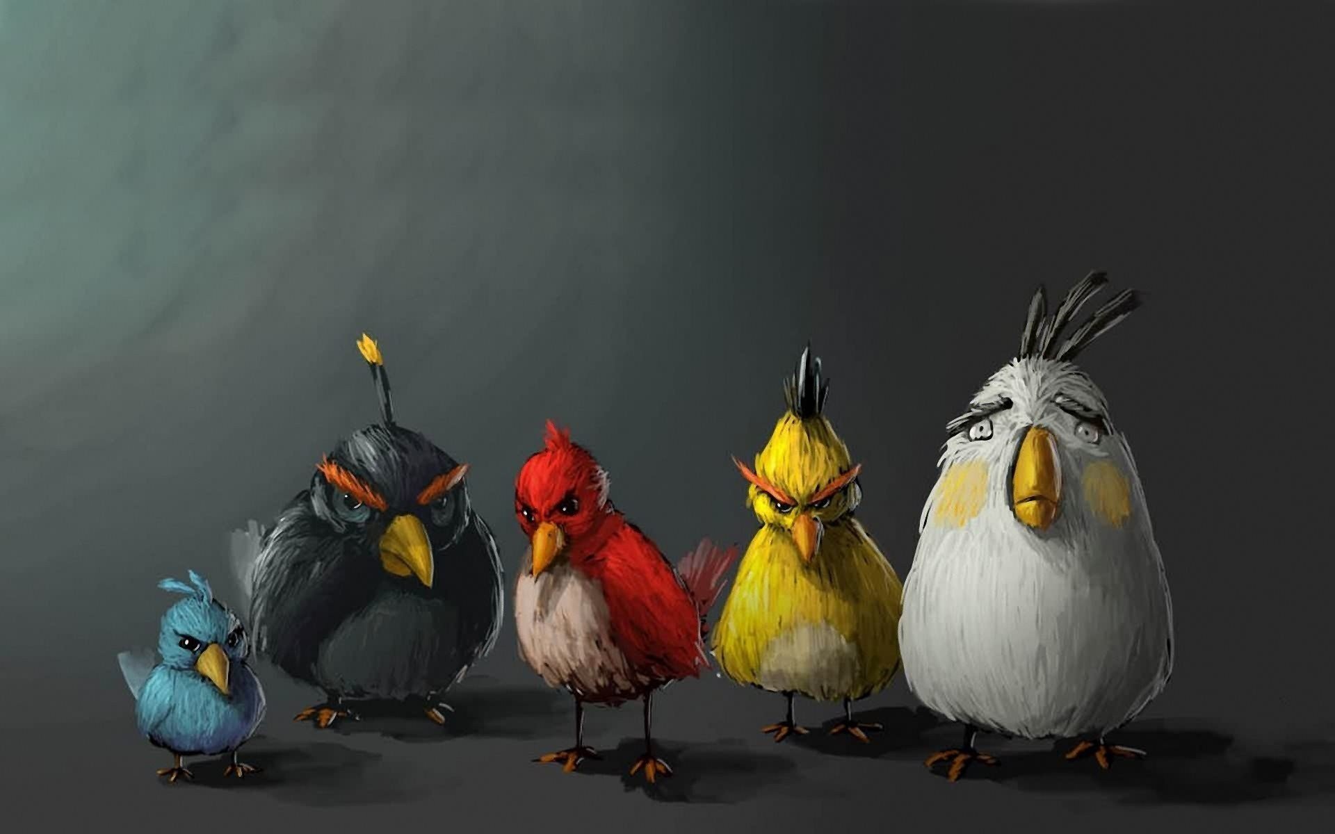 video-game-angry-birds-hd-wallpaper