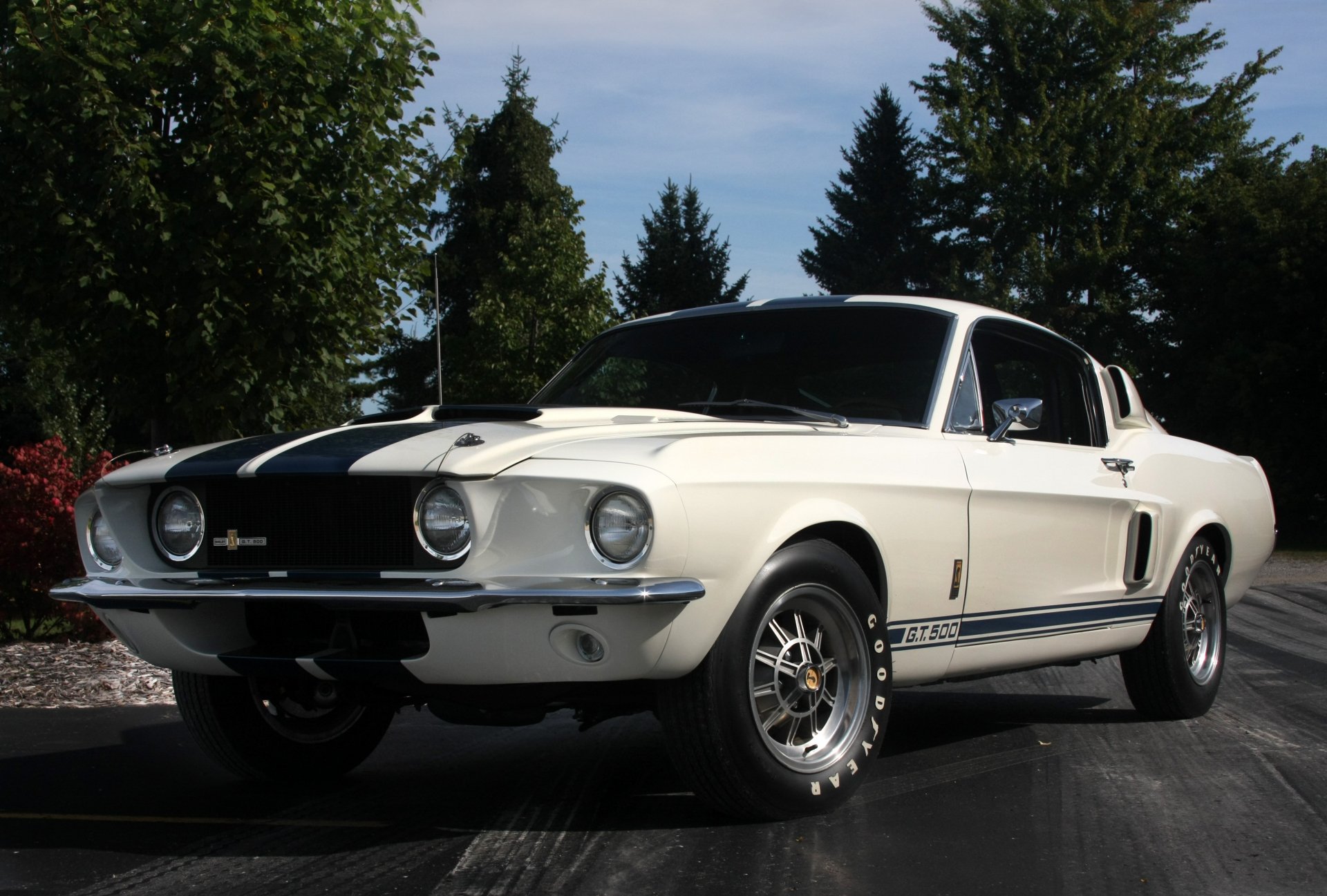 Download White Car Fastback Muscle Car Vehicle Shelby GT500 HD Wallpaper