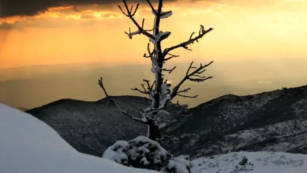 wilderness scenery nature winter HD Desktop Wallpaper | Background Image