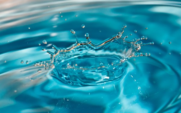 Photography Water Drop Water HD Wallpaper | Background Image