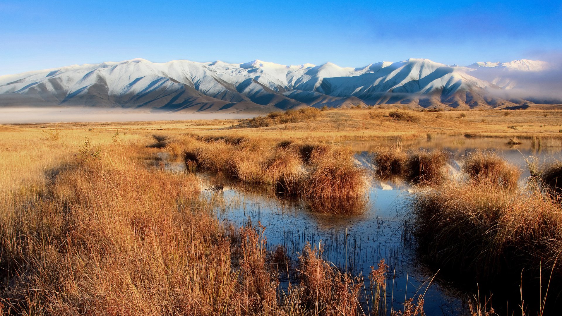 HD PC desktop wallpaper showcasing a serene nature landscape with golden grasses, a reflective water body, and snow-capped mountains under a clear blue sky.