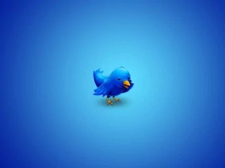 A vibrant HD desktop wallpaper featuring the iconic blue Twitter bird against a solid blue background, representing technology and social media themes.