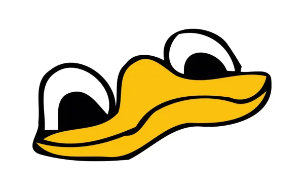 Funny cartoon duck face with exaggerated eyes and beak, designed as an HD PC desktop wallpaper and meme background.