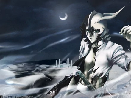 An HD desktop wallpaper featuring Ulquiorra Cifer from the anime Bleach, standing in a snowy landscape under a crescent moon, exuding an aura of mystery and strength.