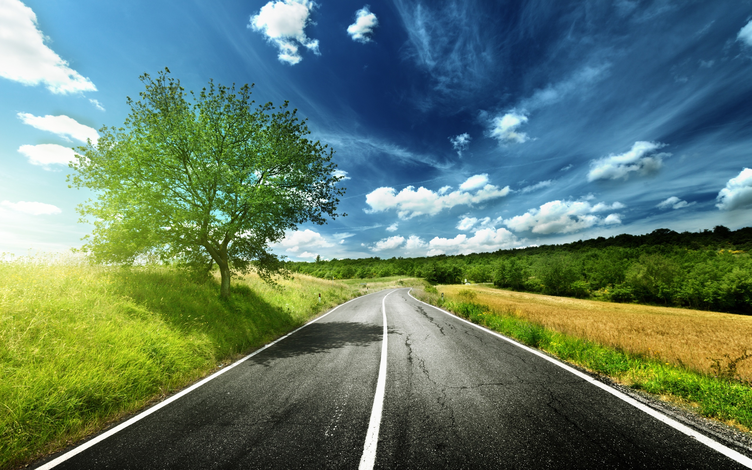 Road HD Wallpaper