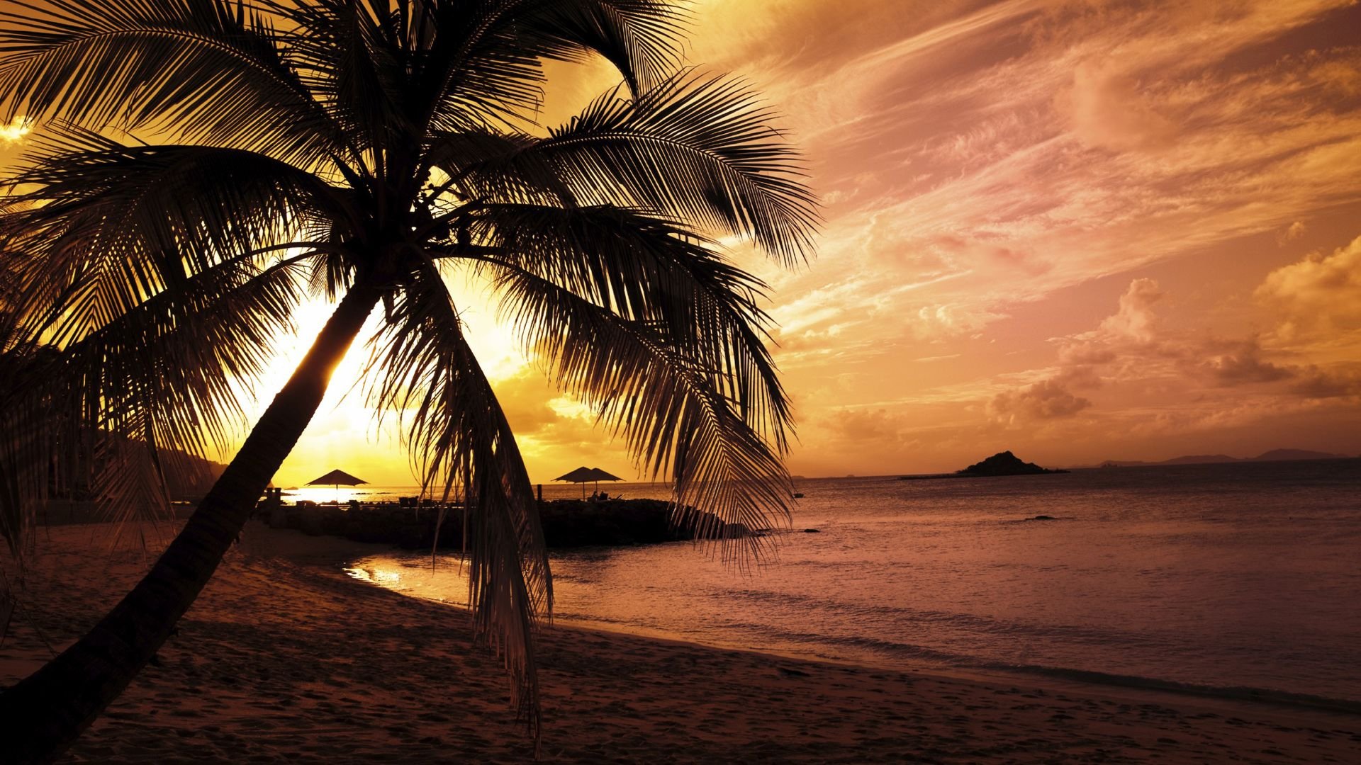 HD tropical nature desktop wallpaper showing a serene beach at sunset with silhouetted palm trees and calm ocean waters under a colorful sky.