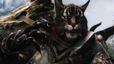 HD PC desktop wallpaper featuring a Khajiit warrior from the video game The Elder Scrolls V: Skyrim, showcasing detailed armor and a fierce expression.