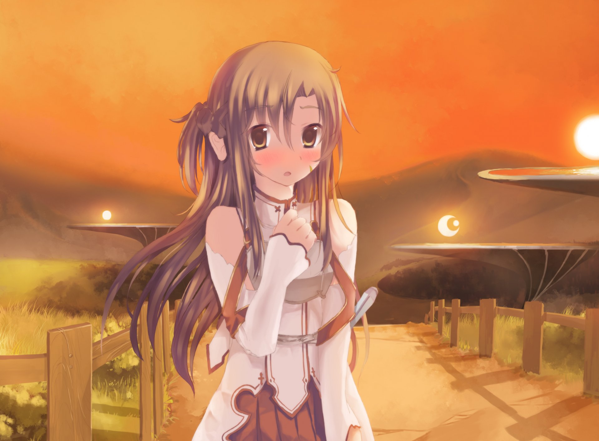 HD wallpaper featuring Asuna Yuuki from Sword Art Online, depicting a serene landscape at sunset with warm colors and a thoughtful expression.