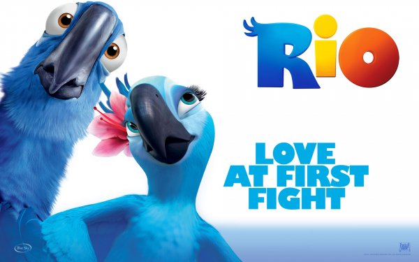 Movie Rio Blu Jewel HD Wallpaper | Background Image
