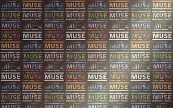 10 Muse Hd Wallpapers Background Images