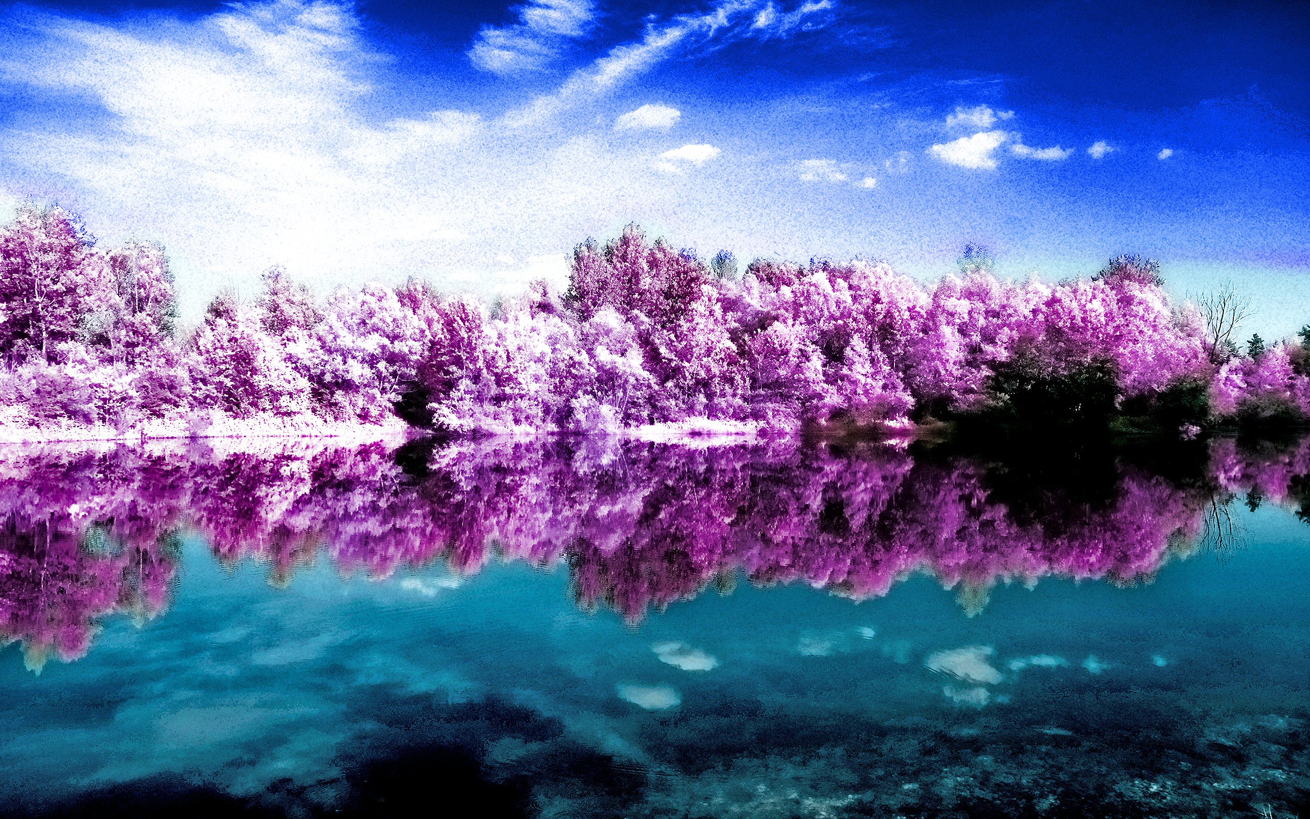 Nature Scenic HD Wallpaper | Background Image