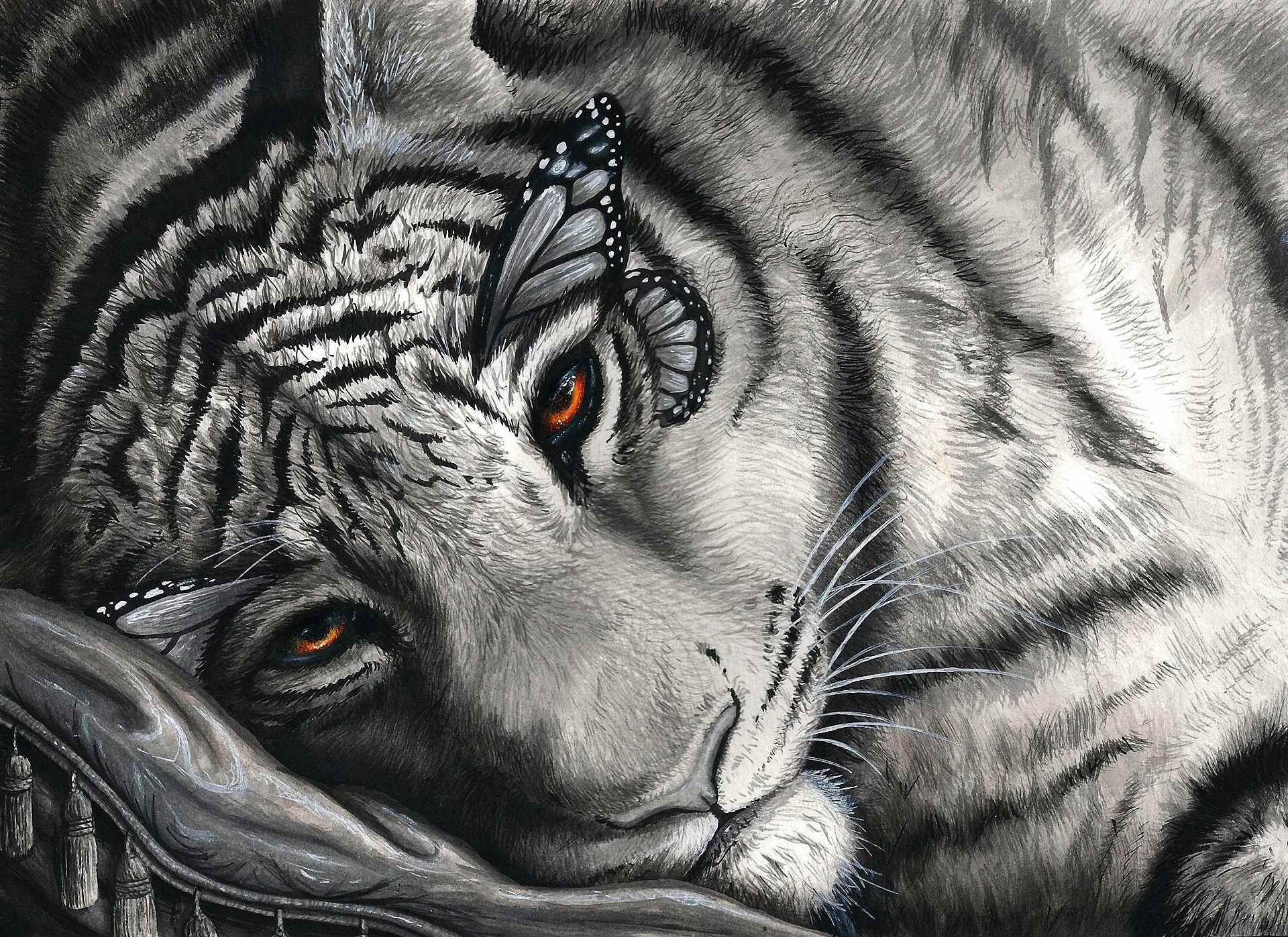 HD white tiger fantasy art wallpapers  Peakpx