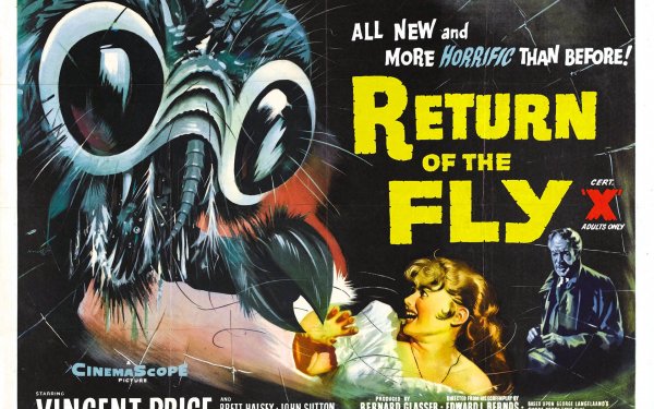 Movie Return of the Fly Horror Creepy Spooky Scary Halloween HD Wallpaper | Background Image