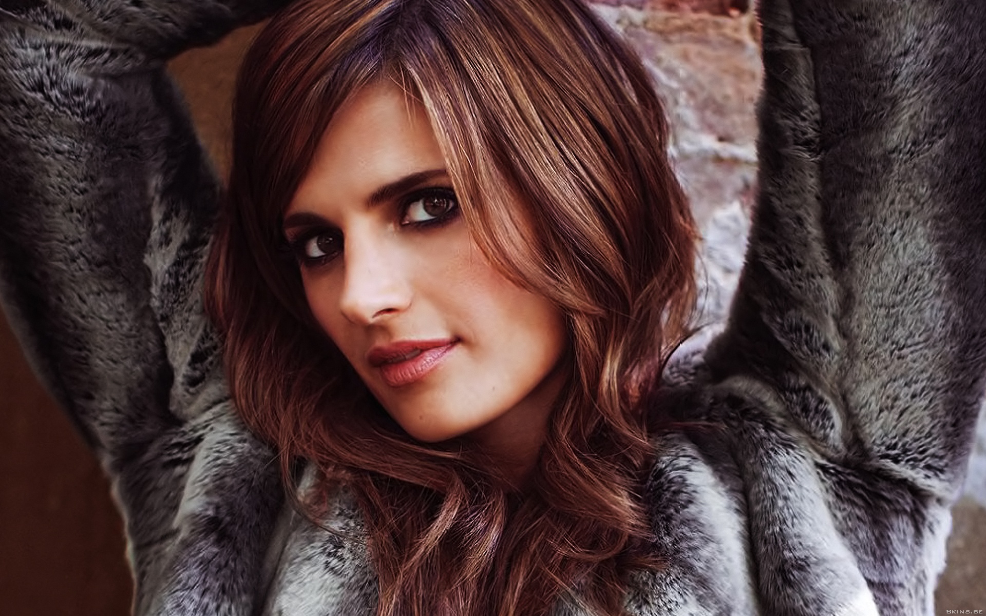 40+ Stana Katic HD Wallpapers and Backgrounds