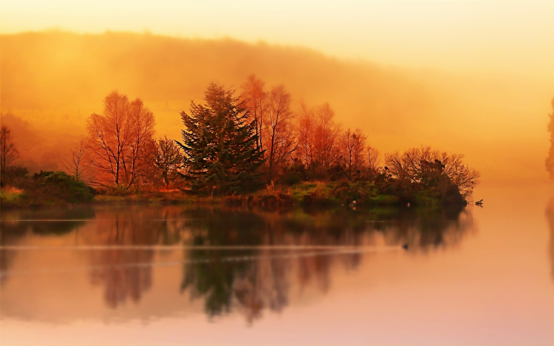 Mùa thu: Mùa thu là một trong những thời điểm đẹp nhất trong năm, khi mà cảnh sắc của thiên nhiên trang trí đẹp hơn với sắc vàng, đỏ, và cam. Bạn có thể nhìn thấy những cành cây và lá rơi, và tận hưởng cảm giác ấm áp, thoải mái trong không khí se lạnh. Hãy xem những bức ảnh về mùa thu và cảm nhận sự đẹp đẽ và tuyệt vời của nó.