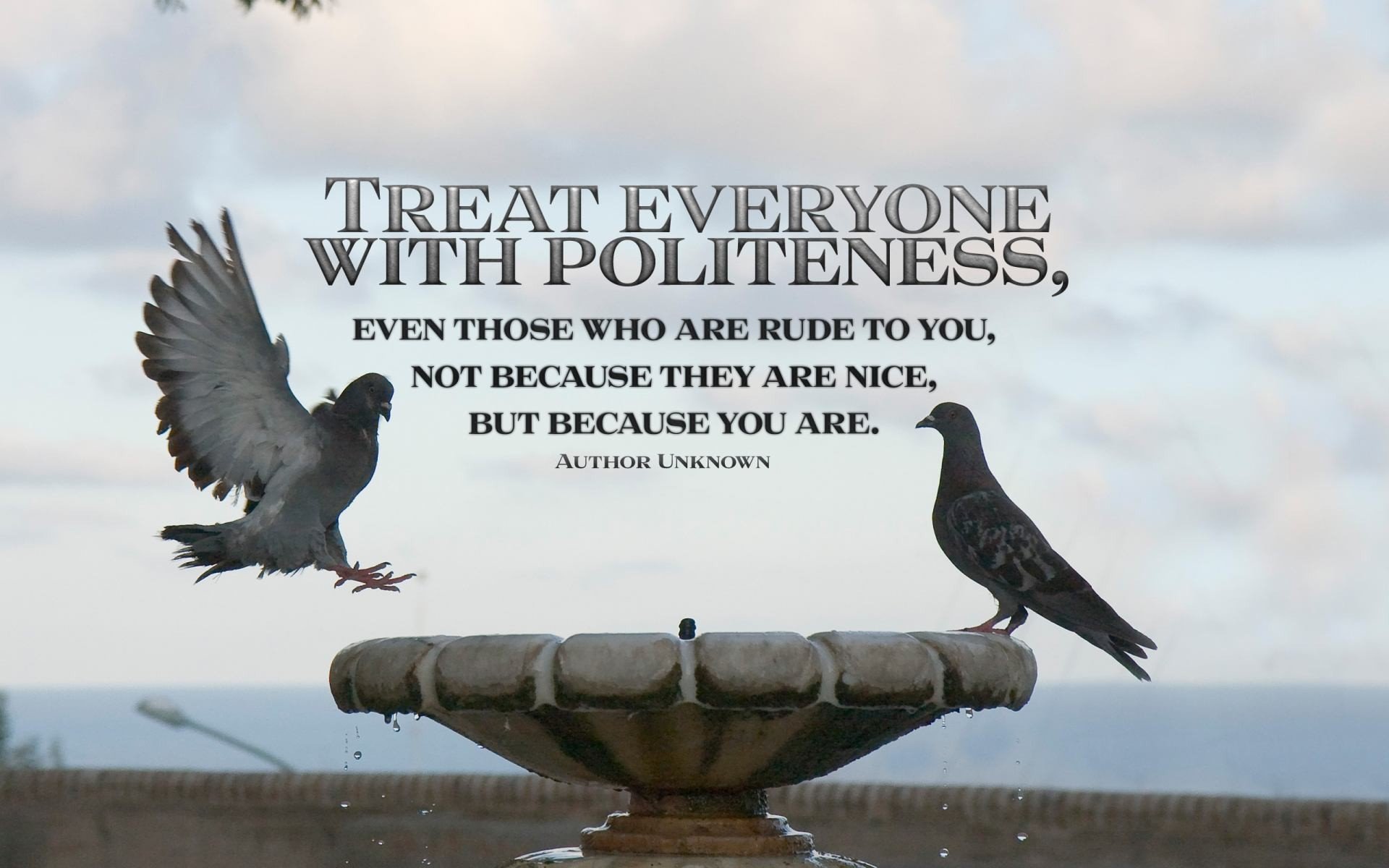 A motivational HD wallpaper featuring two pigeons at a fountain, with the quote: Treat everyone with politeness, even those who are rude to you, but because you are.