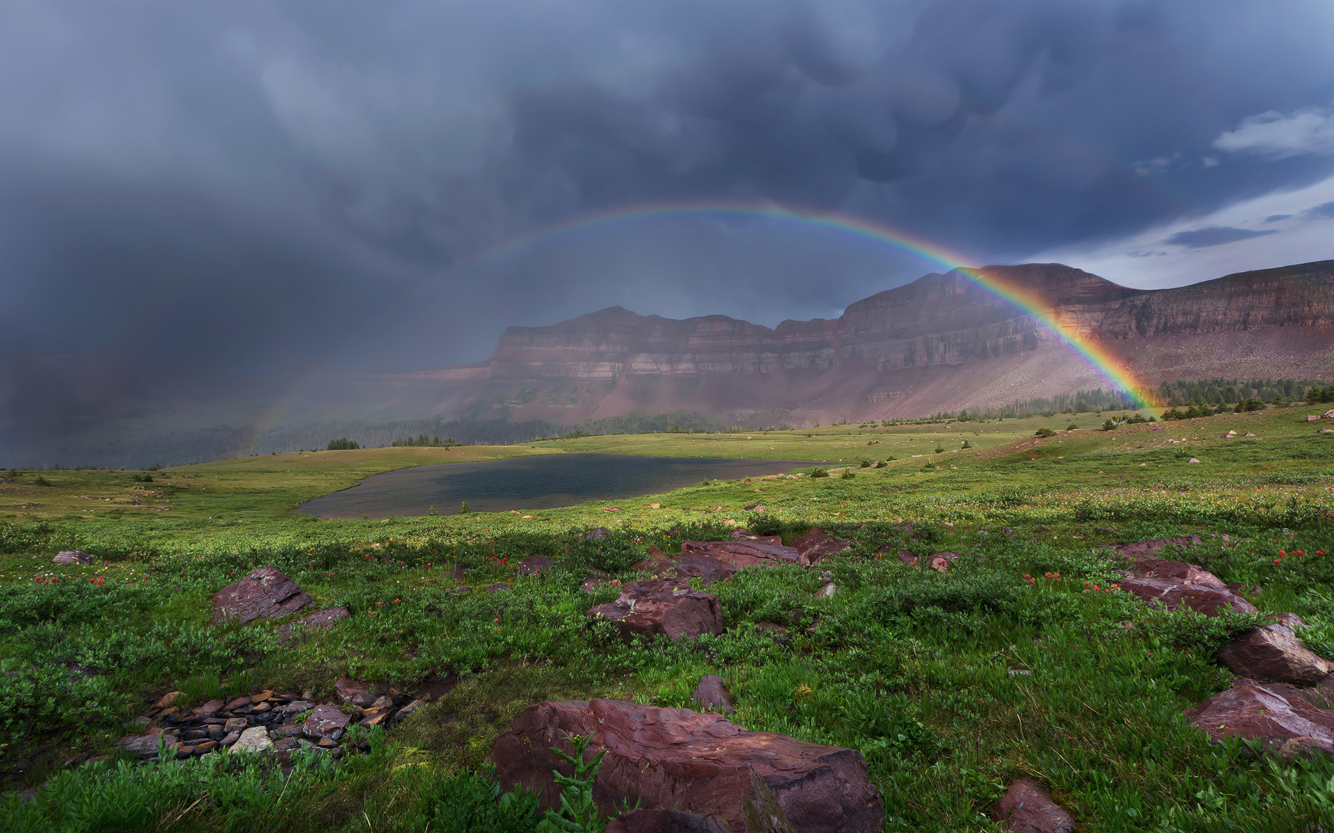 Rainbow HD Wallpaper | Background Image | 1920x1200 | ID:310399