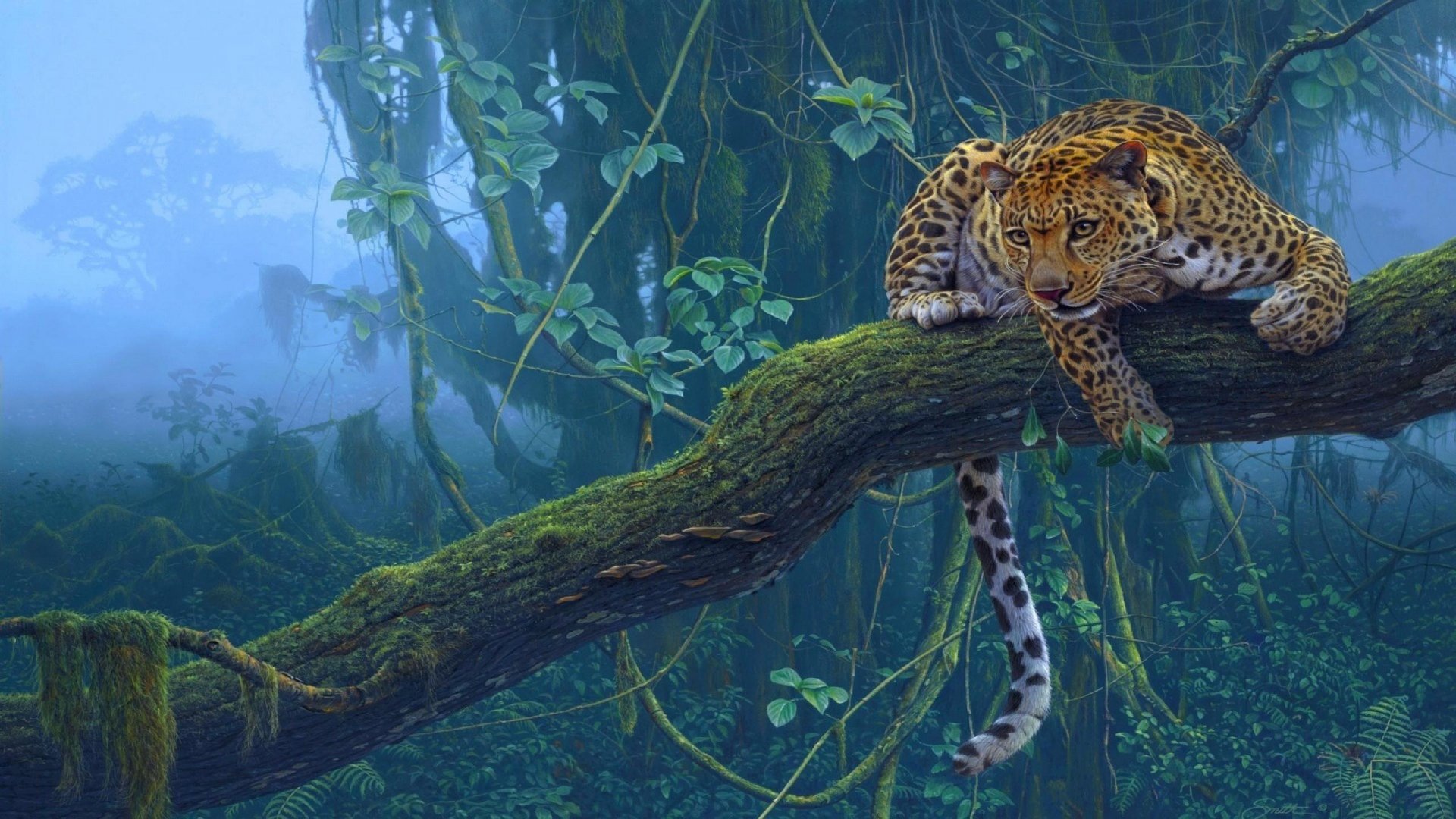 Leopard Full HD Wallpaper and Background Image | 2560x1440 | ID:311969