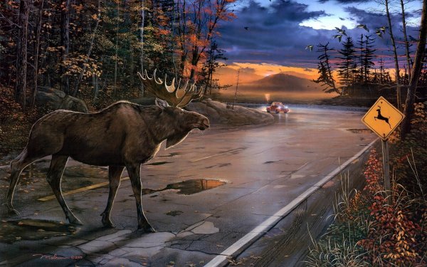 Animal Artistic Moose Alaska Illistration Sunset Sunrise HD Wallpaper | Background Image