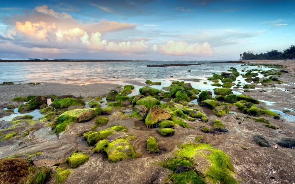 Tierra/Naturaleza Playa Paisaje Pintoresco Océano Sea Shore Costa Shoreline Cielo Nube Fondo de pantalla HD | Fondo de Escritorio