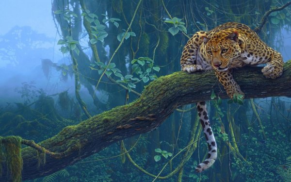 Animal Leopard Cats Branch Jungle Rainforest Fog HD Wallpaper | Background Image