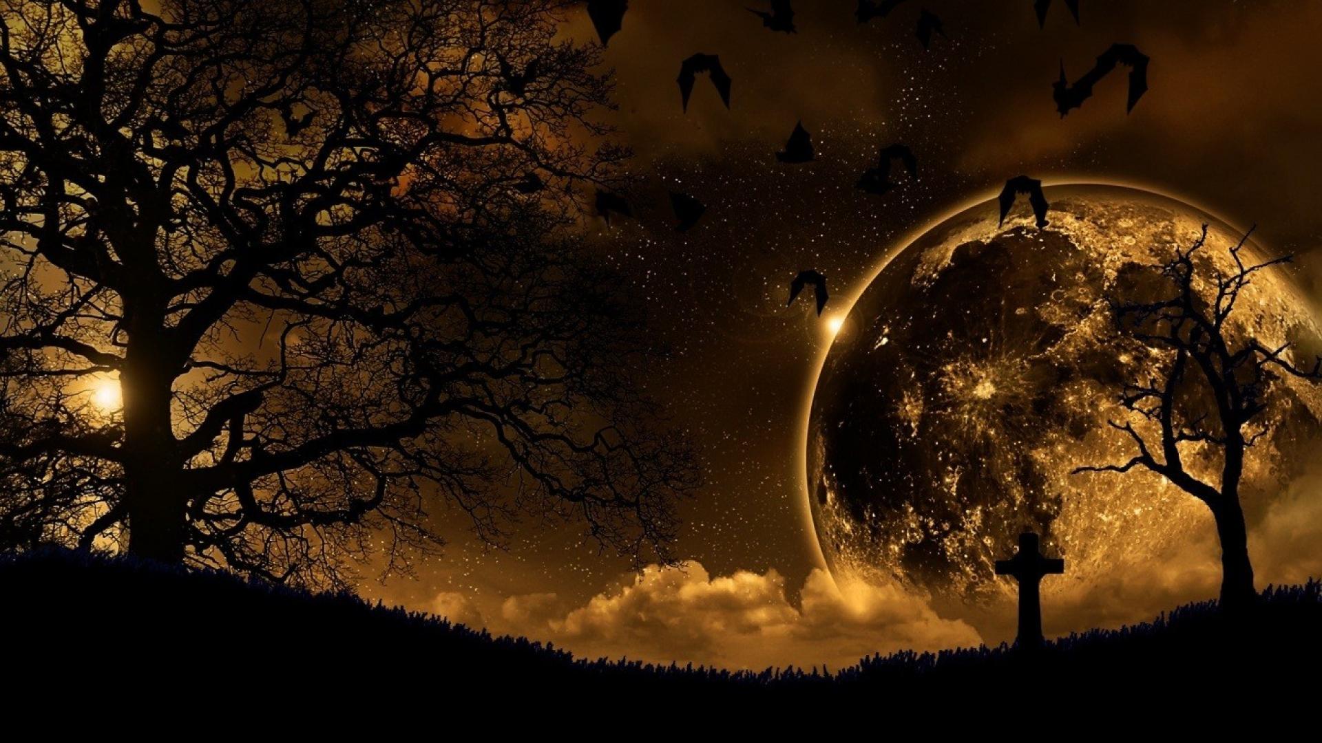 Gothic Moonlit Night HD Wallpaper | Hintergrund | 1920x1080 | ID:312304