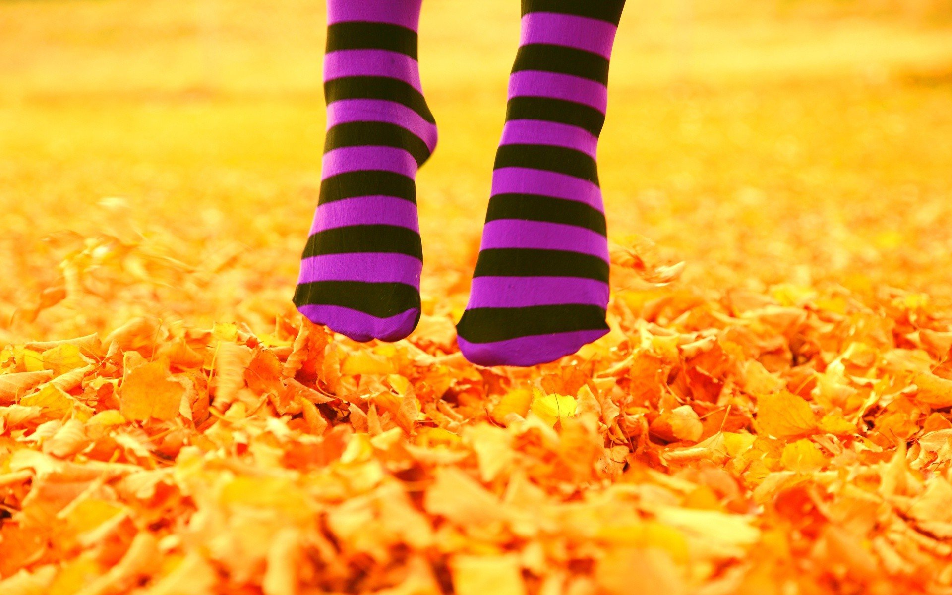 Download Leaf Nature Season Fall Woman Feet HD Wallpaper