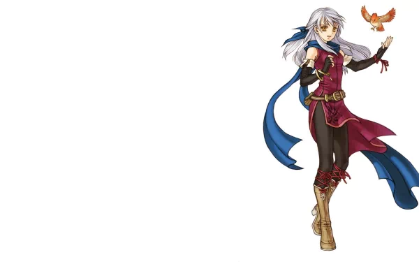 HD PC desktop wallpaper and background for the video game Fire Emblem: Radiant Dawn - silver-haired female warrior in red armor with a blue sash and a hawk perched on her gloved hand against white space.