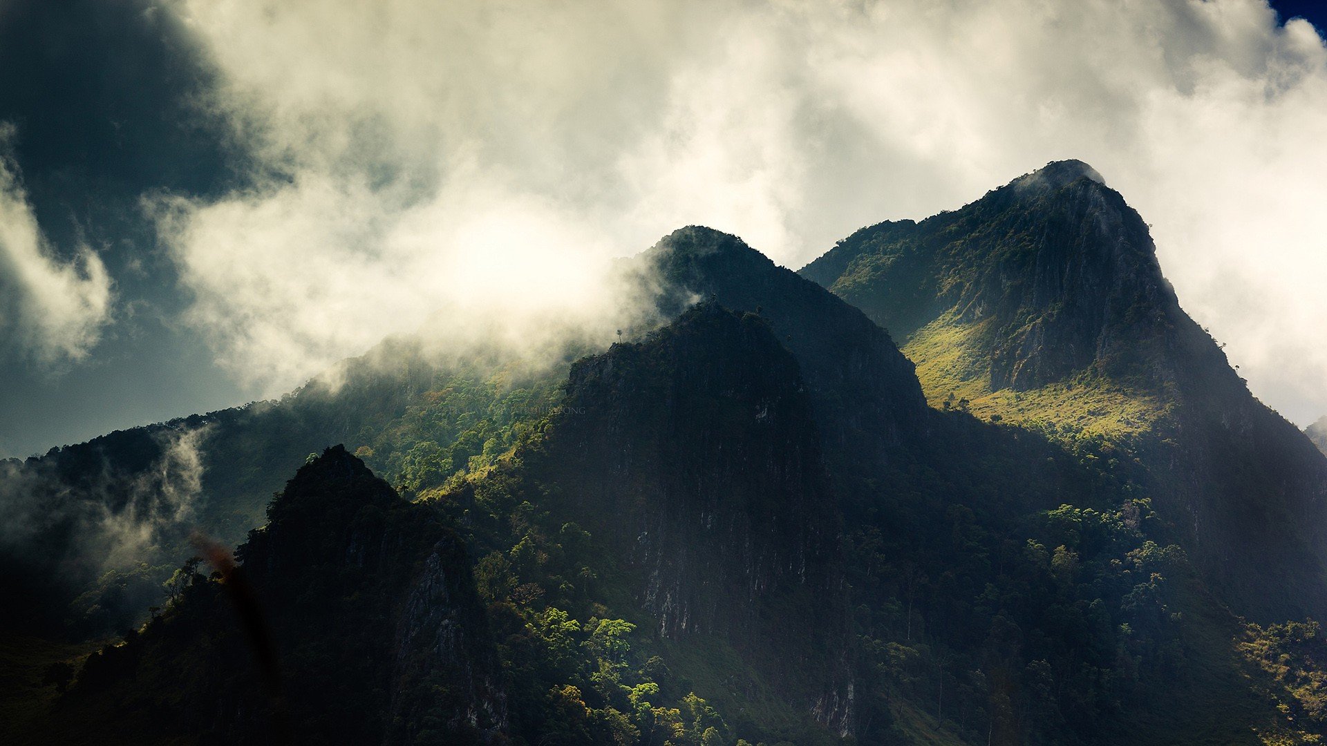 Download Jungle Fog Sky Cloud Forest Scenic Landscape Nature Mountain  HD Wallpaper