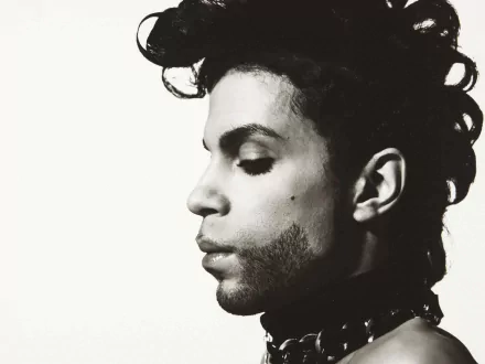 Black and white profile portrait of Prince, showcasing his iconic hairstyle and expressive features. A striking 4K Ultra HD music-themed desktop wallpaper.