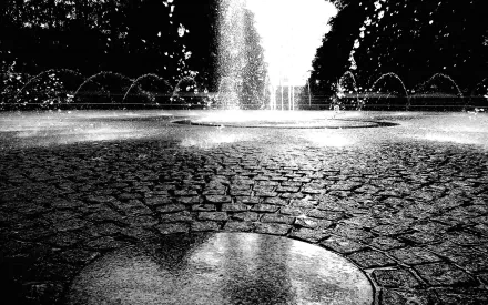 photography Black & White HD Desktop Wallpaper | Background Image