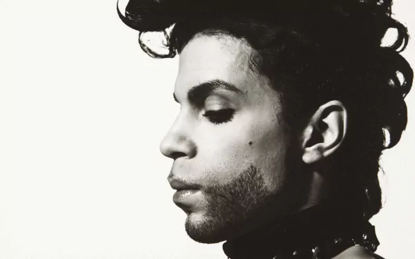 Black and white profile portrait of Prince, showcasing his iconic hairstyle and expressive features. A striking 4K Ultra HD music-themed desktop wallpaper.