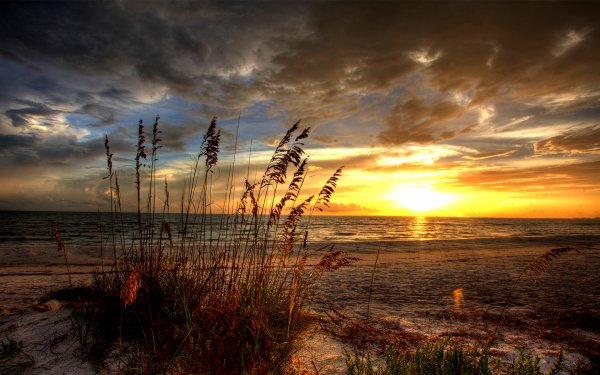 Tierra/Naturaleza Amanecer Paisaje Pintoresco HDR Océano Playa Sand Nube Sol Fondo de pantalla HD | Fondo de Escritorio