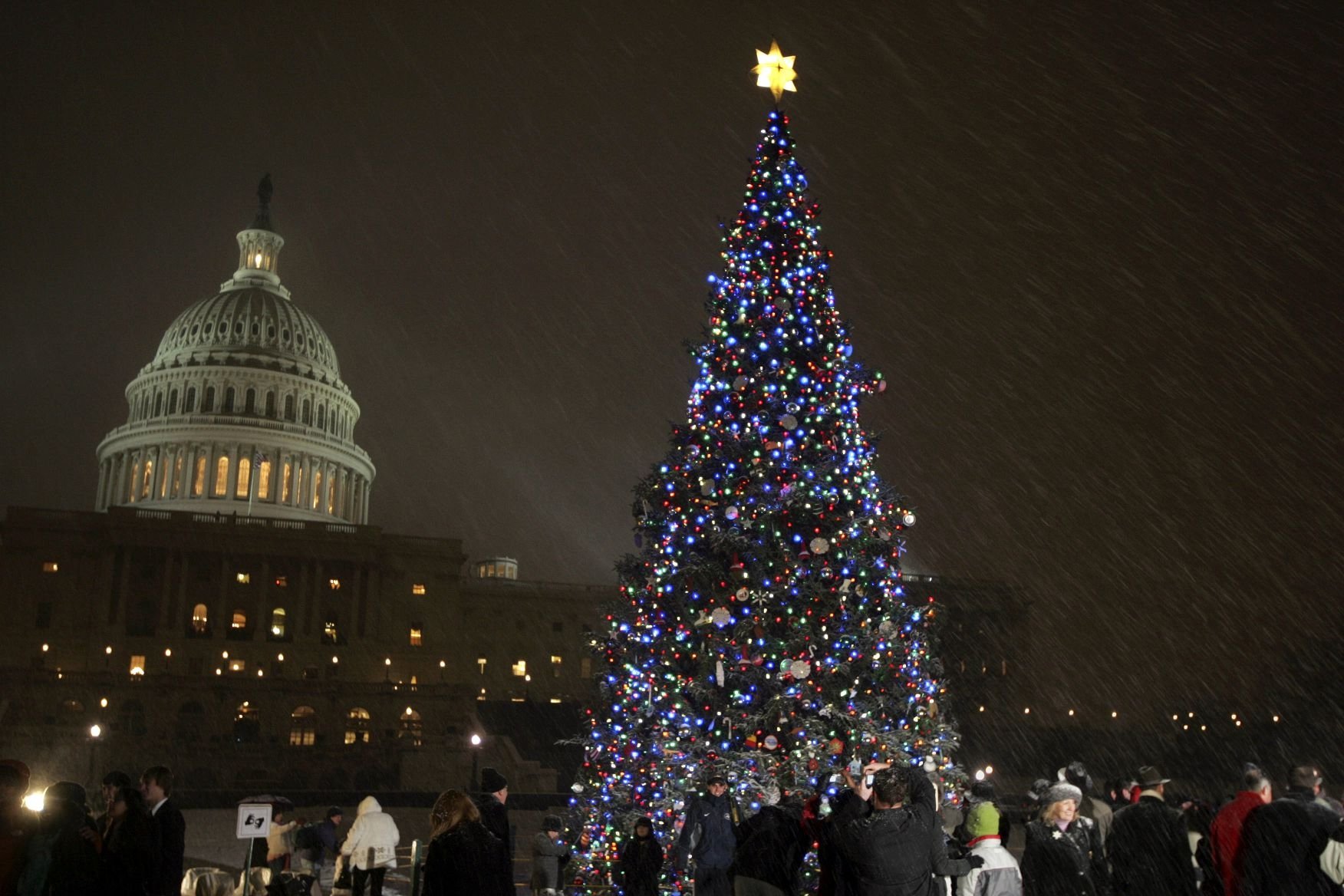 Download Capitol Christmas Tree Christmas Ornaments Christmas Lights ...