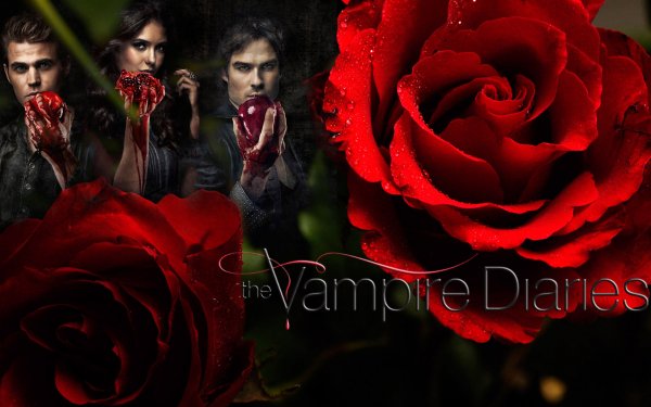 Series de Televisión The Vampire Diaries Vampiro Sangre Horror Halloween Flor Rosa Fan Art Fondo de pantalla HD | Fondo de Escritorio