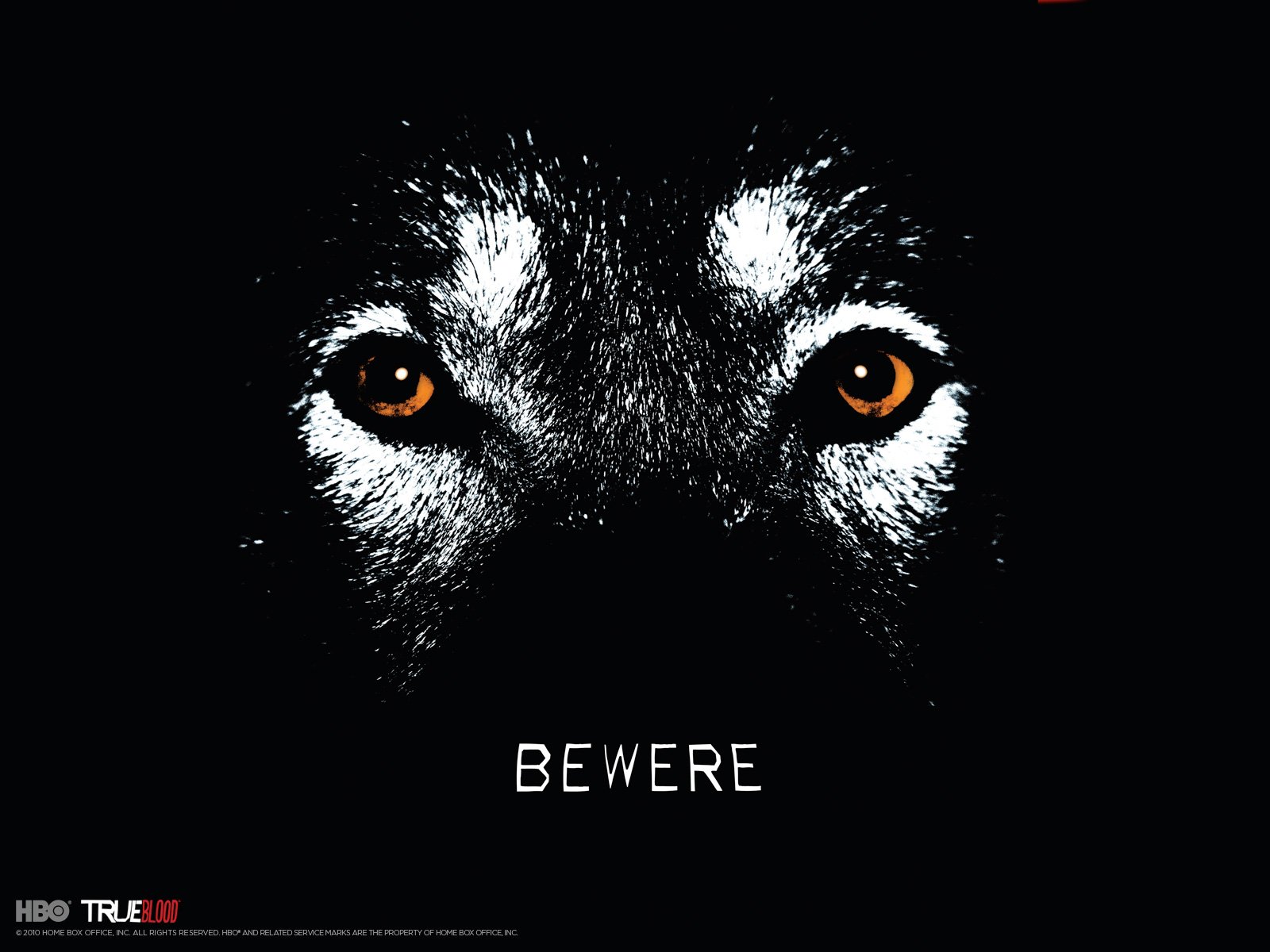 Close-up of a wolf's eyes in a dark, moody design featuring the text BEWERE, inspired by the TV show True Blood. This HD wallpaper creates an intense atmosphere.
