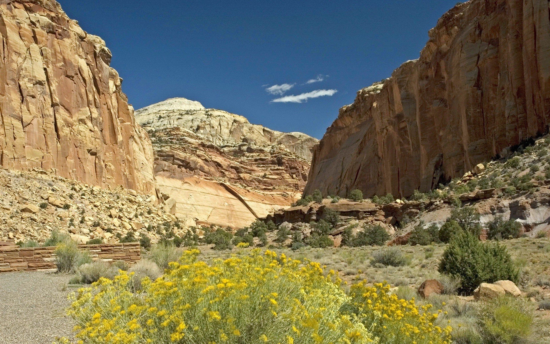 HD PC desktop wallpaper/background: a nature canyon scene with sunlit sandstone cliffs, bright yellow wildflowers and scrub in the foreground beneath a clear blue sky.