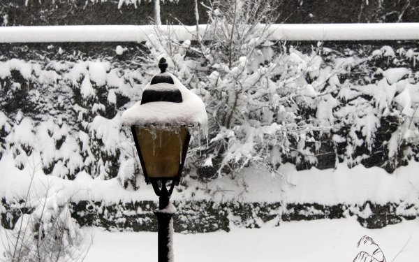Photography Winter Lamp Post HD Wallpaper | Background Image