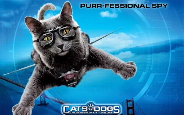 movie Cats & Dogs: The Revenge Of Kitty Galore HD Desktop Wallpaper | Background Image