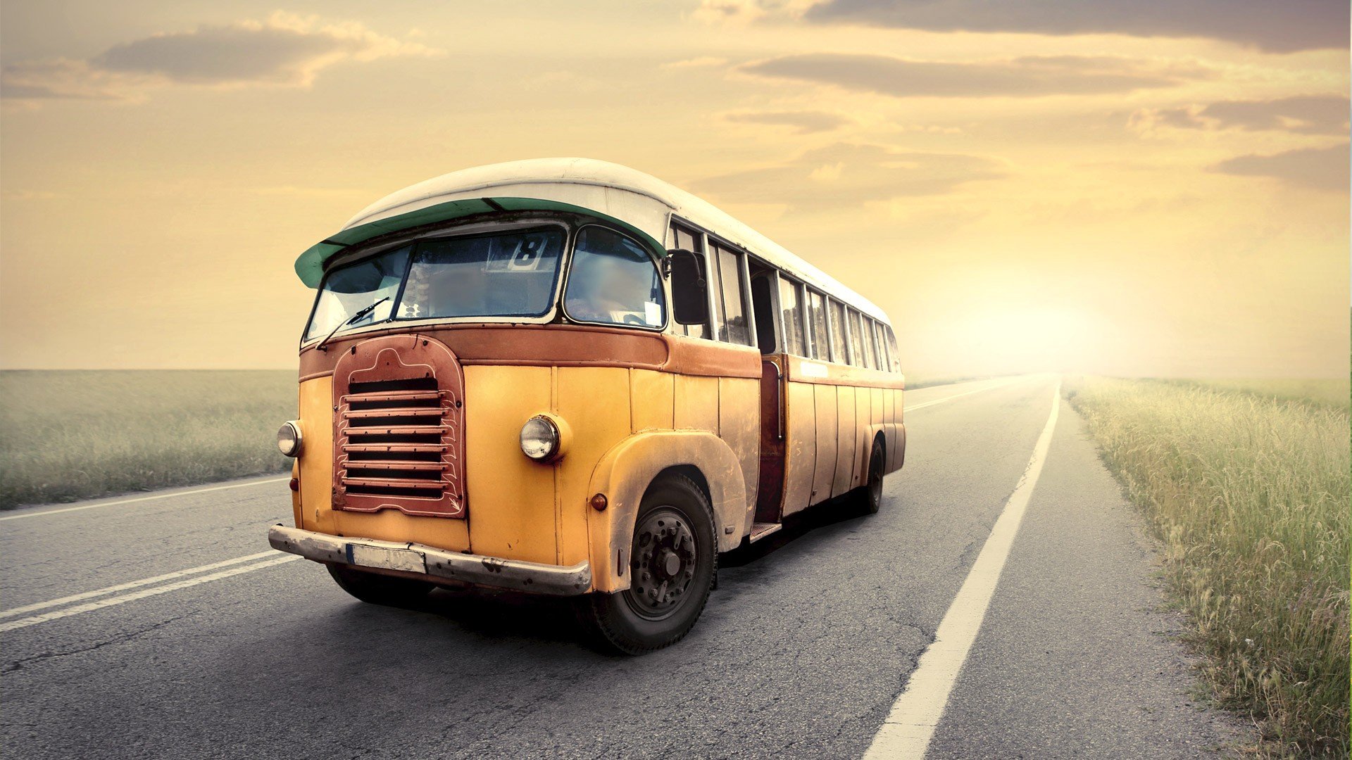 What to Look for When Buying a VW Bus - Buslifers