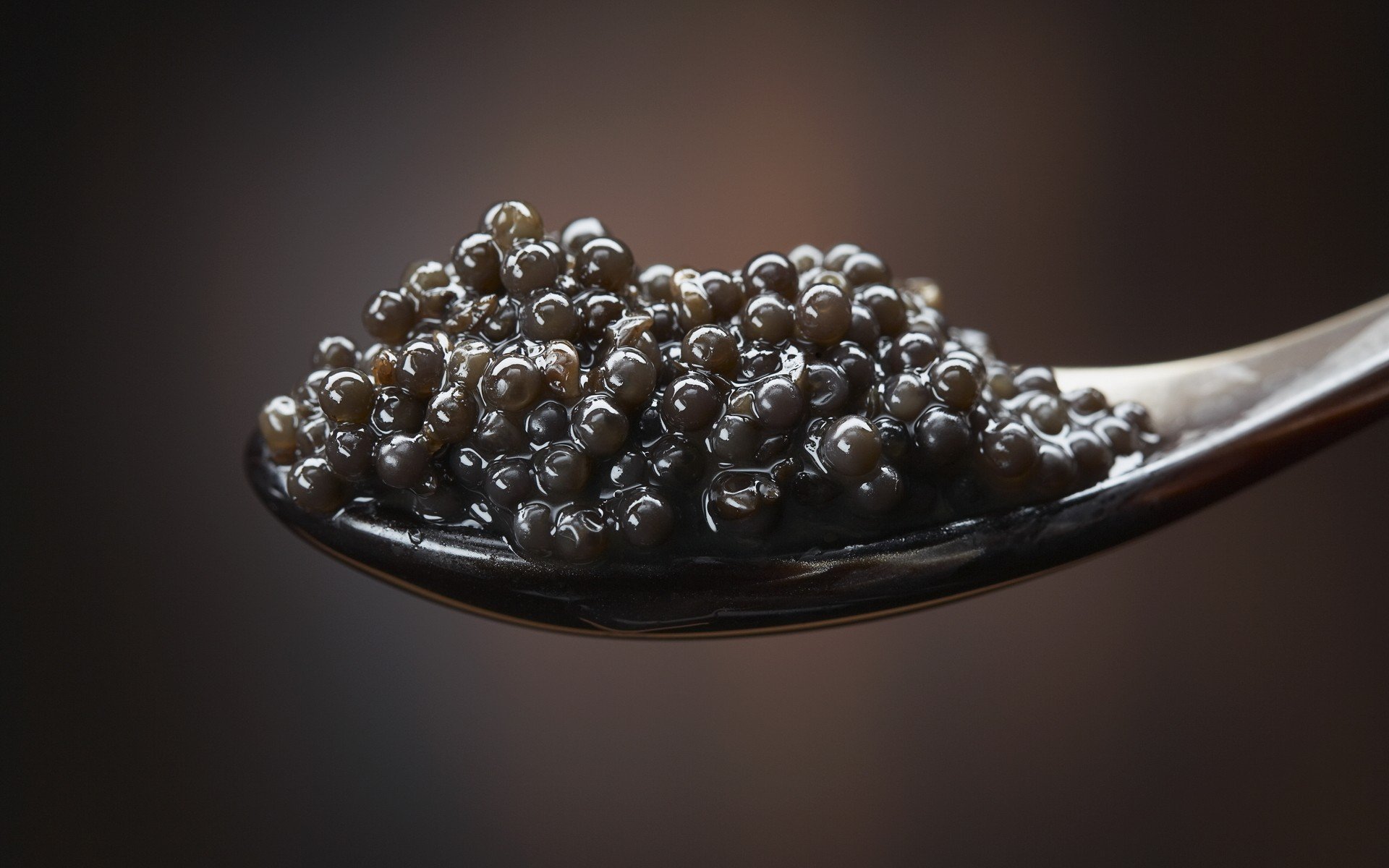 Download Food Caviar HD Wallpaper