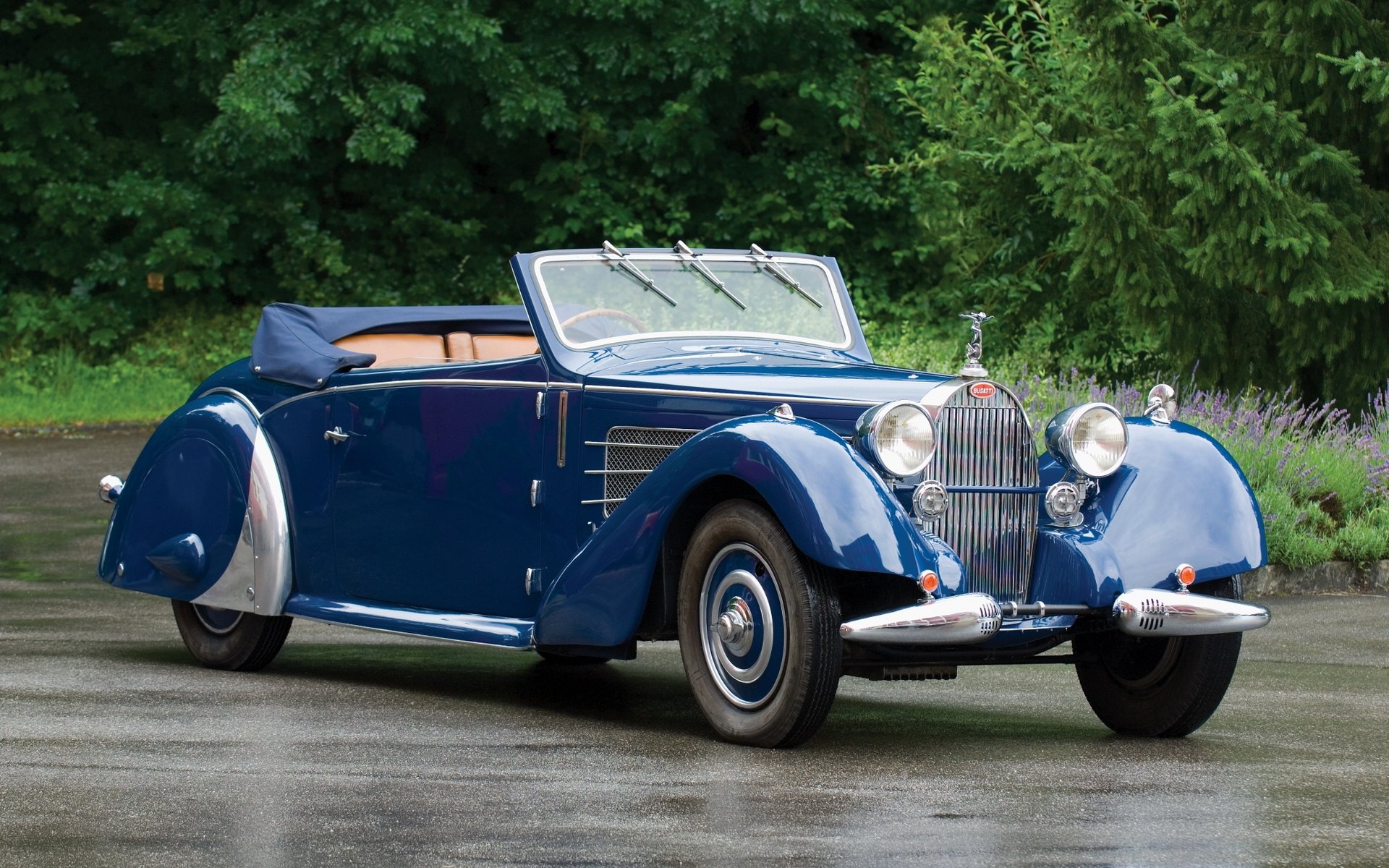 Vehicles Bugatti HD Wallpaper
