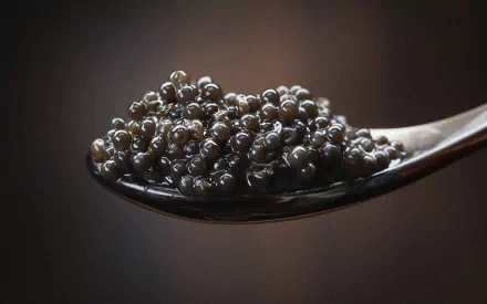 food caviar HD Desktop Wallpaper | Background Image