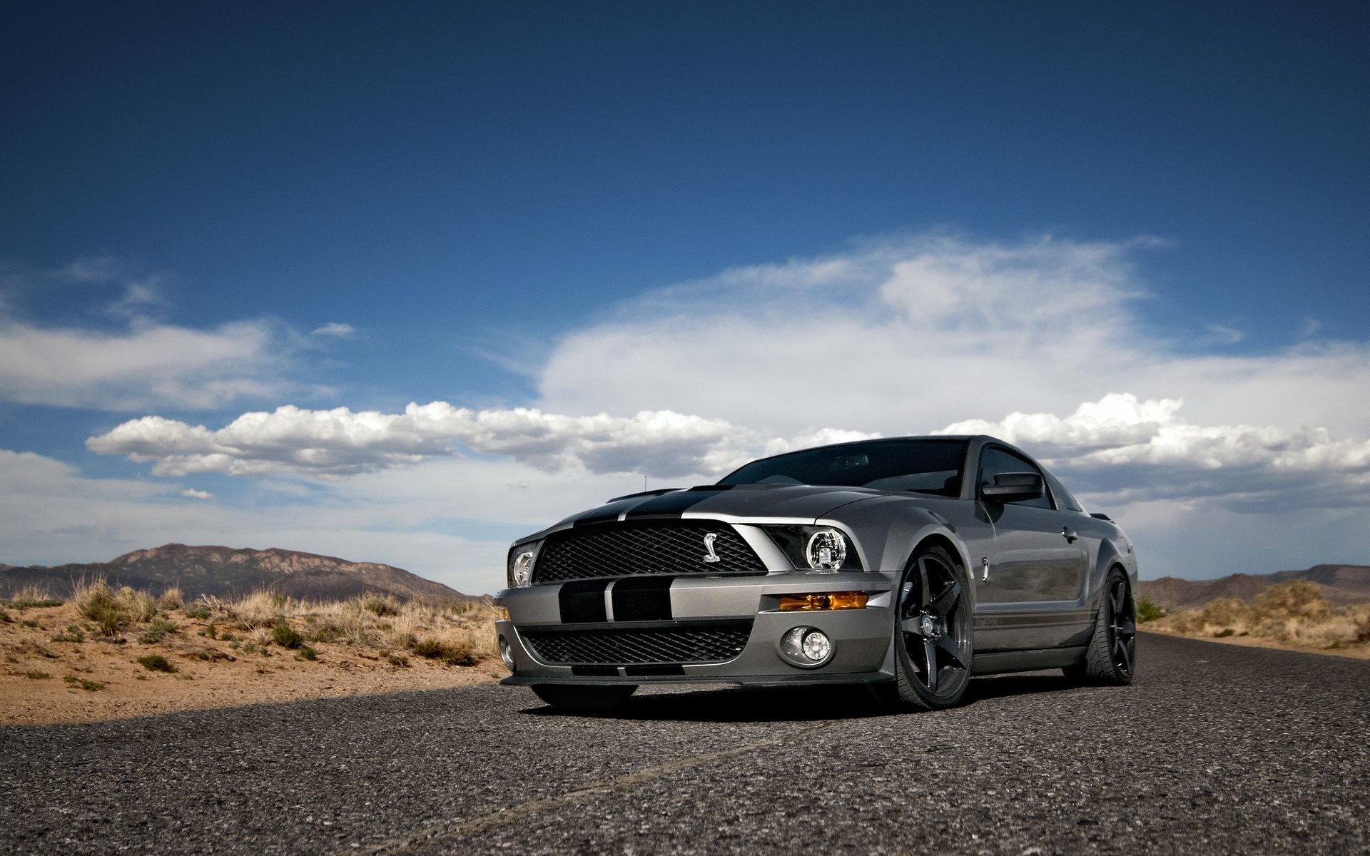 Ford Mustang Fond D Cran Hd Arri Re Plan X Id Wallpaper Abyss