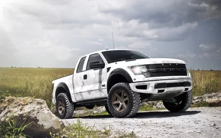 HD desktop wallpaper featuring a white Ford Raptor truck parked on a gravel road with a cloudy sky and grassy field in the background.