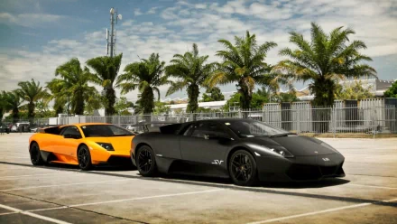 HD desktop wallpaper featuring two Lamborghini Murcielago vehicles, one black and one orange, parked in a lot with palm trees and a partly cloudy sky in the background.