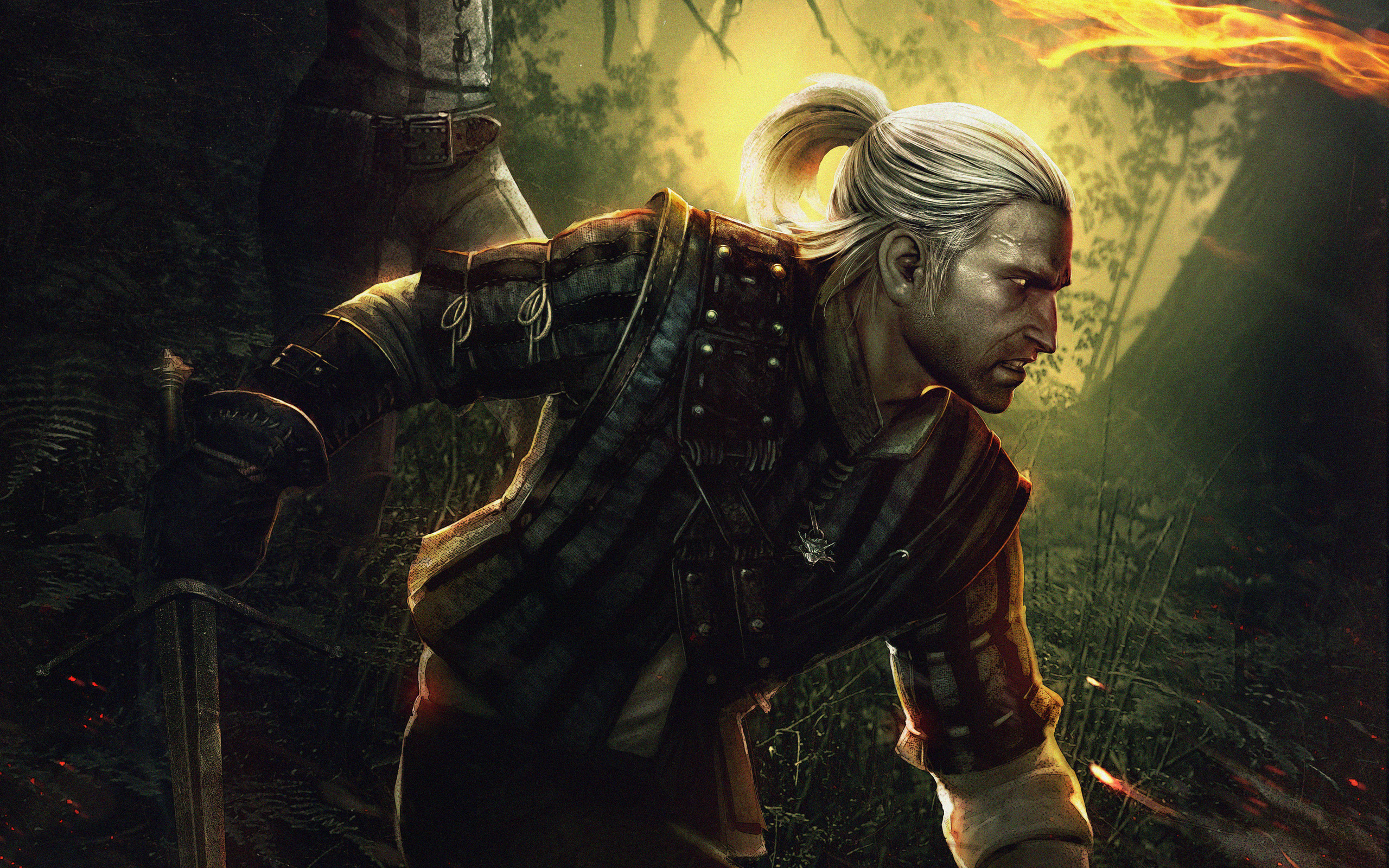 Video Game The Witcher 2: Assassins Of Kings HD Wallpaper
