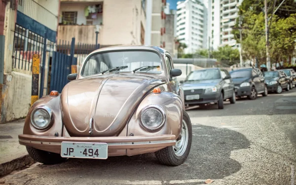 bug vehicle Volkswagen Volkswagen Beetle HD Desktop Wallpaper | Background Image