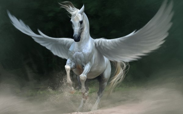 Fantasy Pegasus Fantasy Animals HD Wallpaper | Background Image
